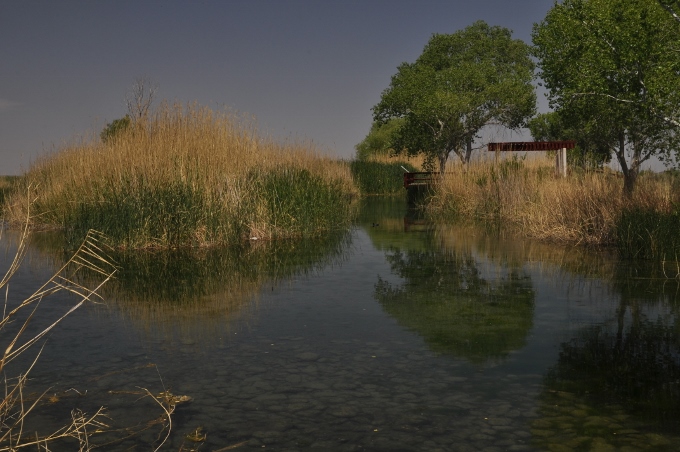 the wetland